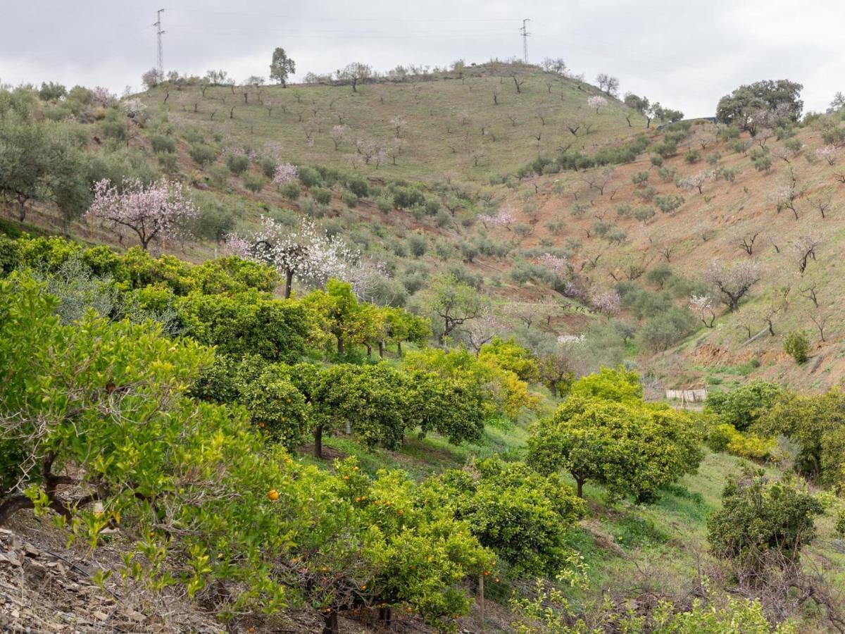 Almogía Alojamiento Rural Casa La Era المظهر الخارجي الصورة