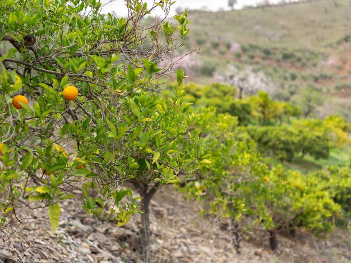 Almogía Alojamiento Rural Casa La Era المظهر الخارجي الصورة